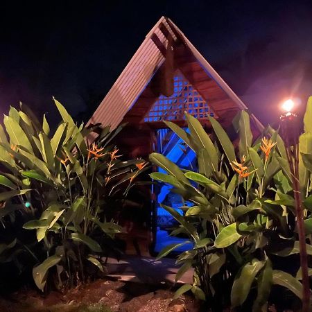 Bewak Cr Hotel Tortuguero Kültér fotó