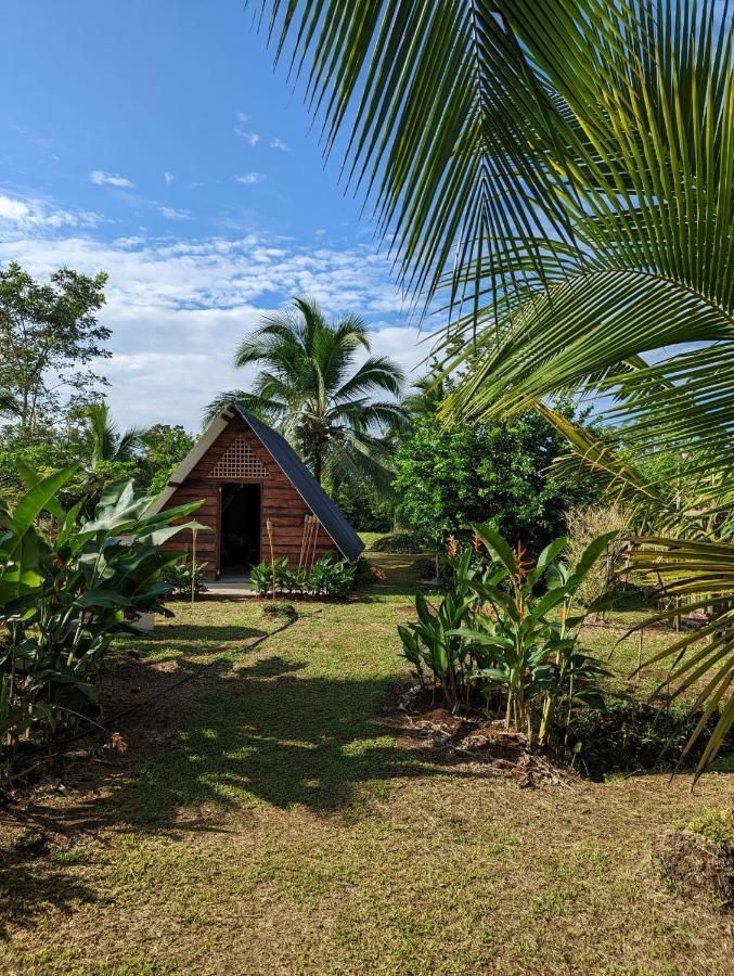 Bewak Cr Hotel Tortuguero Kültér fotó
