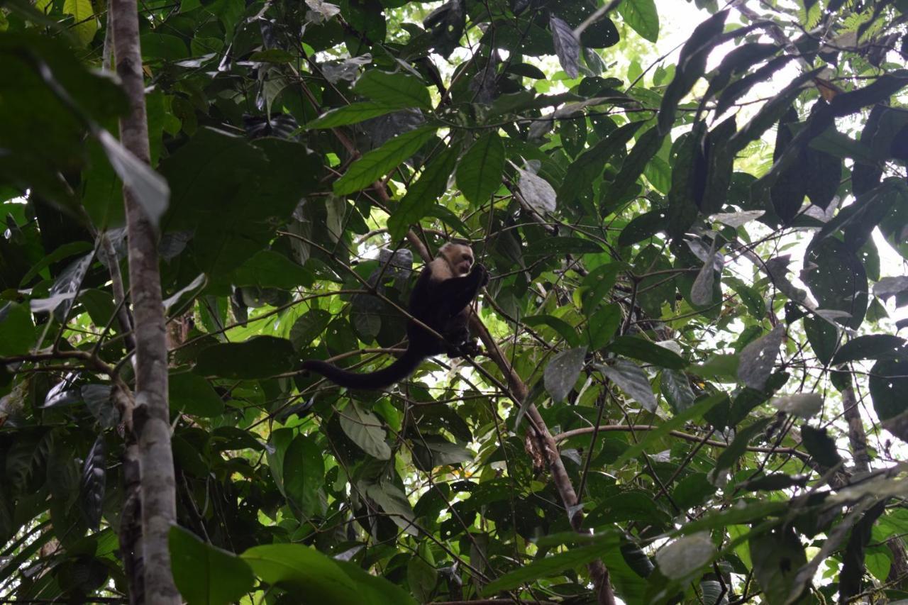 Bewak Cr Hotel Tortuguero Kültér fotó