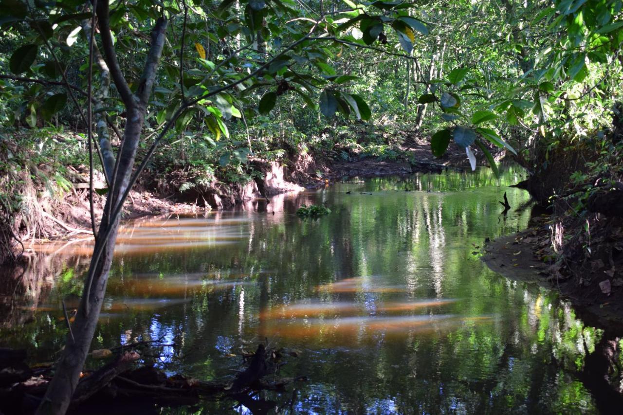 Bewak Cr Hotel Tortuguero Kültér fotó