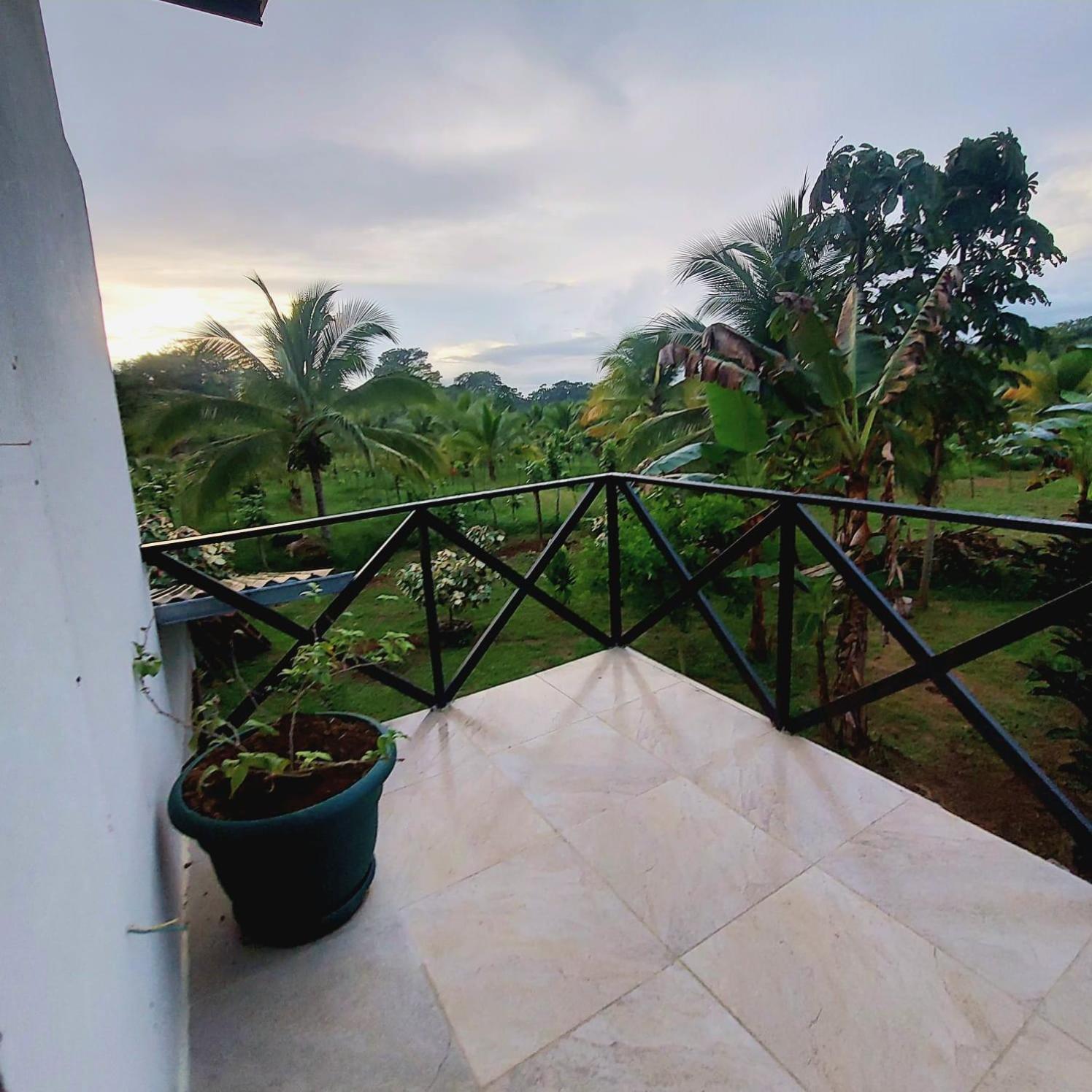 Bewak Cr Hotel Tortuguero Kültér fotó