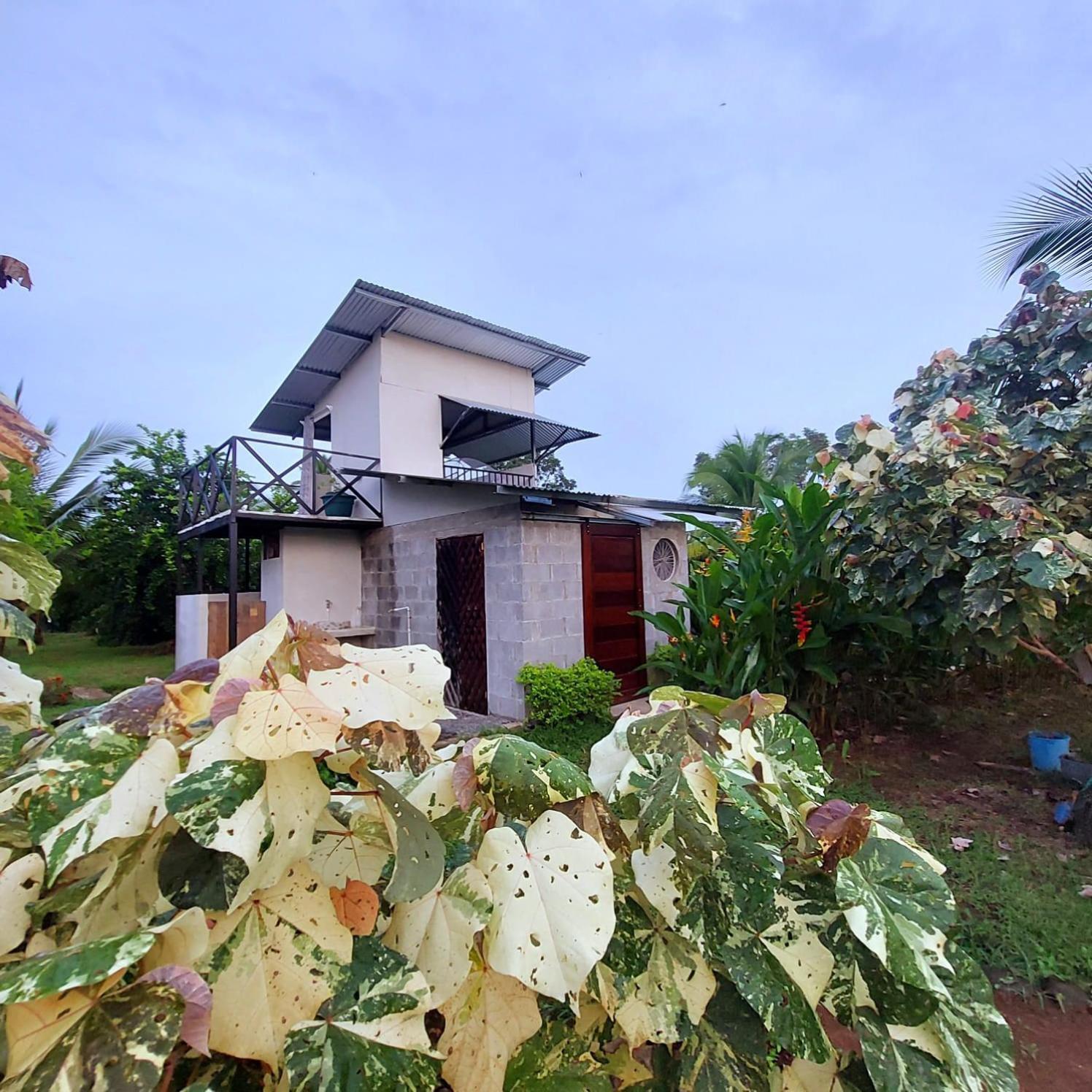 Bewak Cr Hotel Tortuguero Kültér fotó