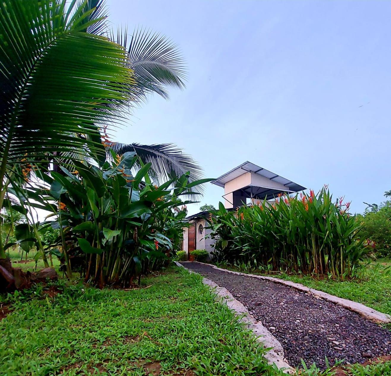 Bewak Cr Hotel Tortuguero Kültér fotó