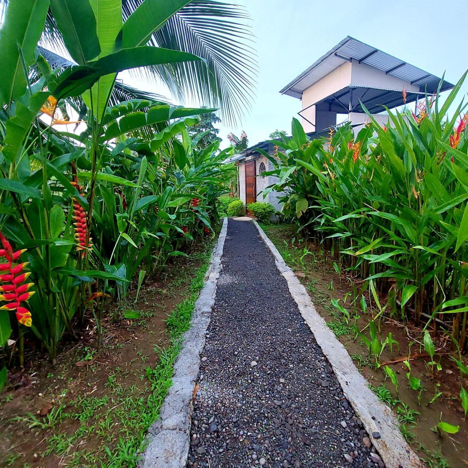 Bewak Cr Hotel Tortuguero Kültér fotó
